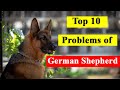 Top 10 Problems of German Shepherd in Hindi - GSD Problem