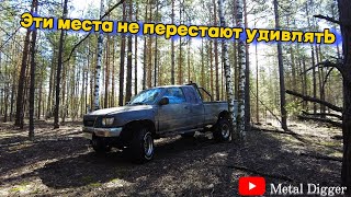 Впервые после зимы на любимые торфяники! Мы нашли не всё!