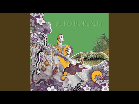 Bufo Borealis — Silvestre