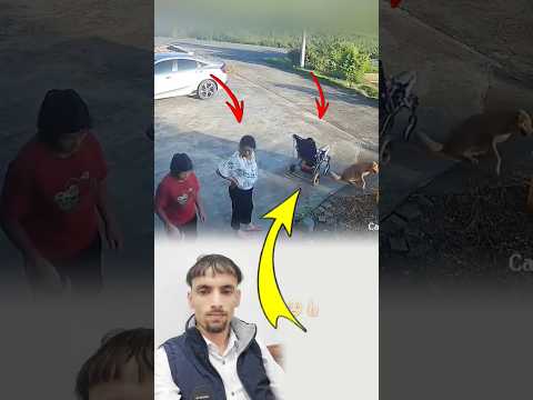 كاد الفقد أن يكون ثمن الغفلة لكنها لحقت بقلبها قبل أن يبتلعه النهر لايك اكسبلور 