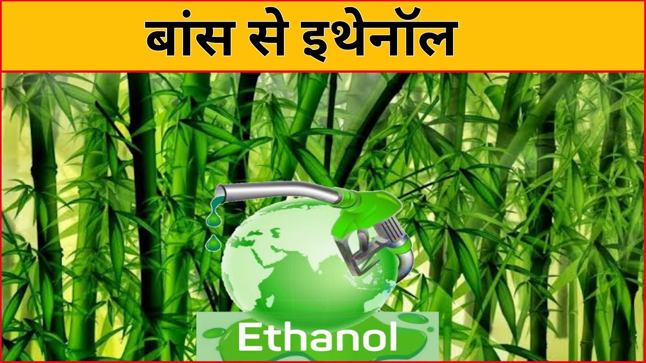 बांस से इथेनॉल | Ethanol from bamboo