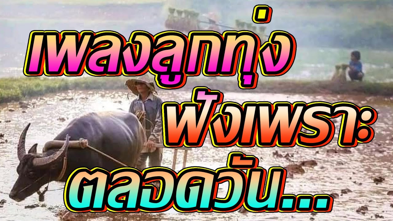 ลูกทุ่งเพลงเพราะฟังได้ตลอดวัน