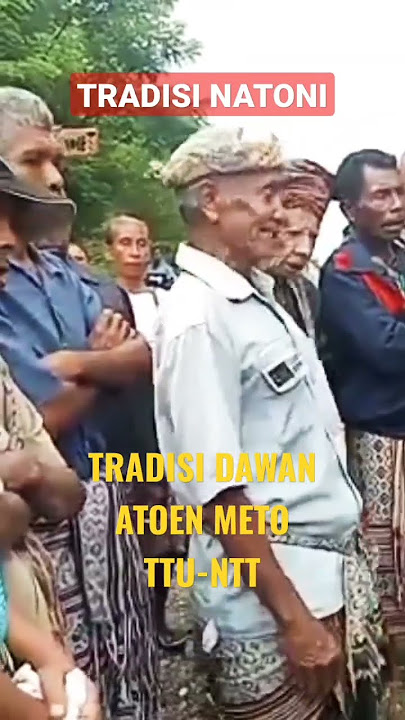 Tradisi adat Timor, Natoti, takanab, Atoen Meto, Dawan, TTU-NTT