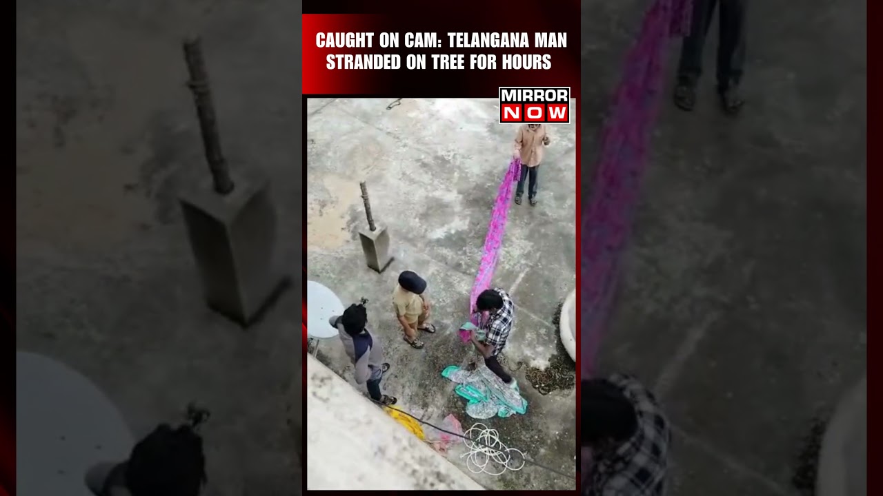 Telangana Floods: Man Washed Away, Then Stranded on Tree For Hours Amid Flood | Viral Video