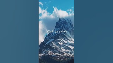 إنما المؤمنون إخوة "سورة الحجرات" بصوت الشيخ ياسر الدوسري
