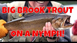 Joe Humphreys Nymphing Techniques | Labrador