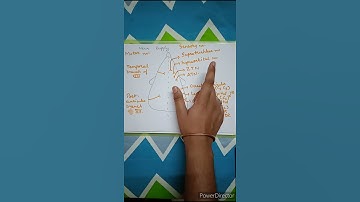 Nerve supply of Scalp in 60 sec 🔥🔥 #shorts #viral #anatomy #AnishVadhel #Anish #HeadandNeck