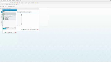 SAP User Basics: Short-cut to Selection Options - Video 10