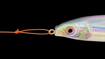 How to tie a Loop Knot