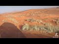 رحلة الدهناء والتوجه لحومة النقيان الجزء ٢ لقاء أجمل المخلوقات المها العربي 