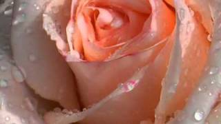 Zain Bhikha - Praise To The Prophet (With Lyrics)
