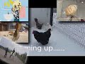 Youtube Thumbnail title