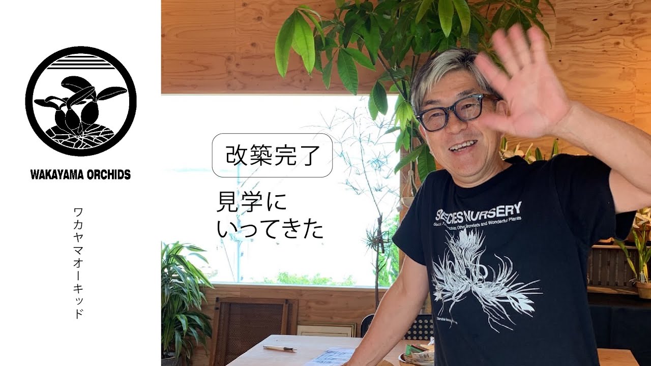 [ LIVE ] ワカヤマオーキッドさんの温室を見にに行ってきたよ [ パルダリウム関連 ]