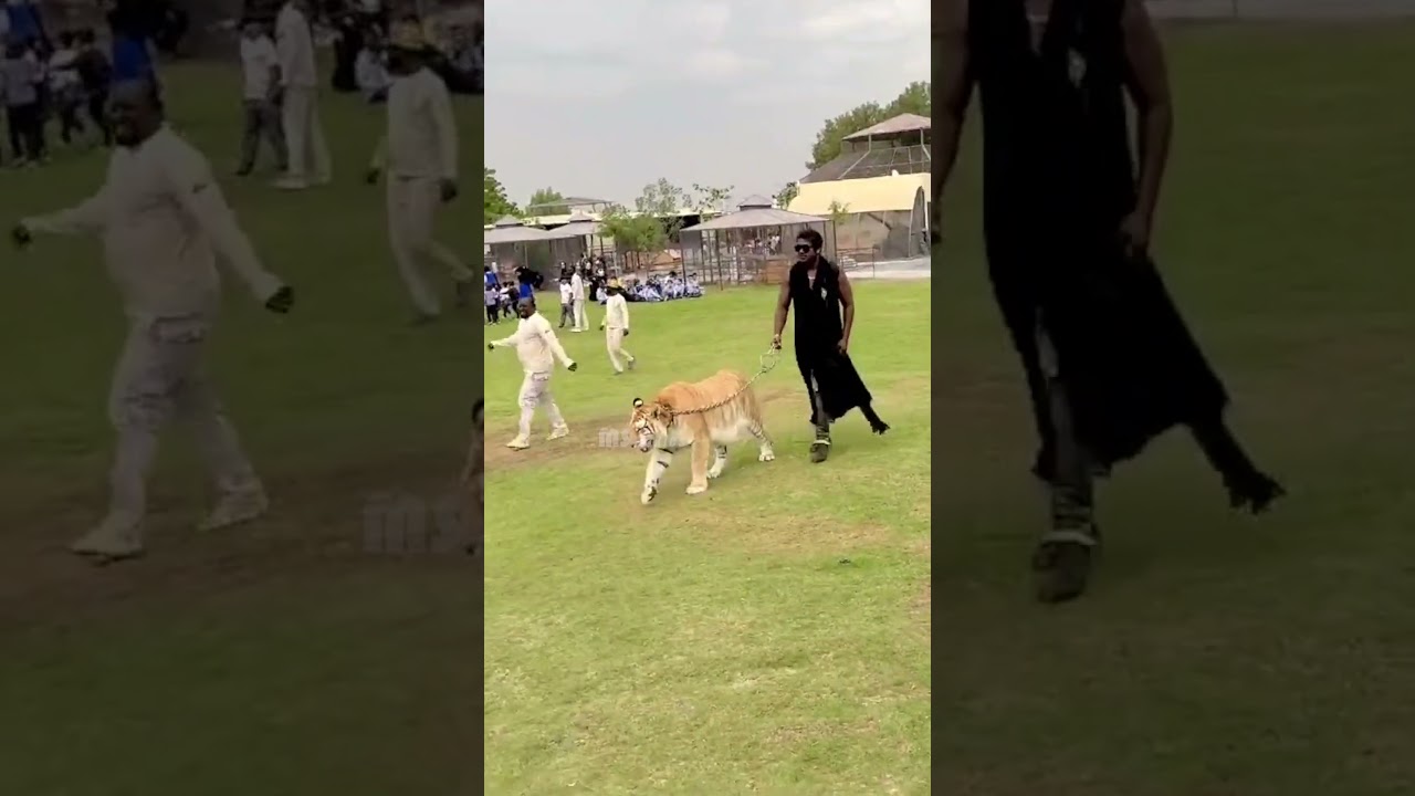 Singer Rahul Sipligunj With Real Tiger @ Song Shoot In Dubai | 