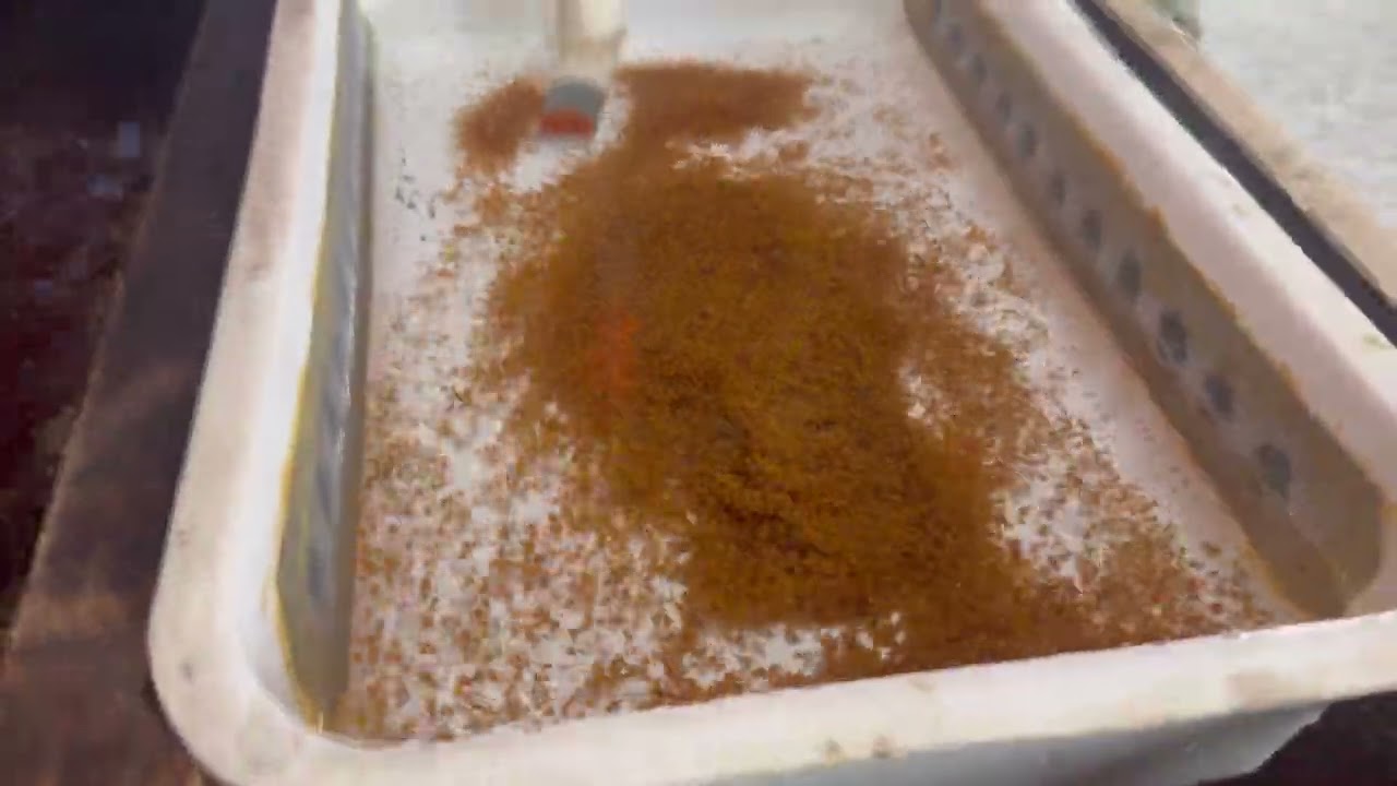 মনোসেক্স তেলাপিয়া উৎপাদন  | Monosex Tilapia Fish Breeding System | Indoor Fish Hatching System