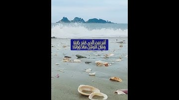 #القرآن الكريم #تلاوة عطرة #تلاوة خاشعة#مسعد عبد الرحمن #الباقيات الصالحات#