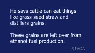 [91VOA]Improving 'Feed Efficiency' in Cattle