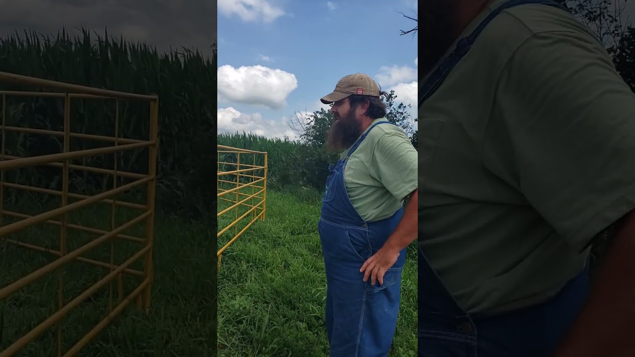 caught the C0WS finally!  read description!  