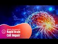 Rapid Brain Cell Repair: Enhance Cognitive Skills | Harness Neurogenesis: Neural Oscillations Sound