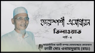 Emotional Beautiful Tilawat হৃদয় ছোঁয়া তিলাওয়াত ক্বারী ওবায়দুল্লাহ .Qari Obaidullah New Tilawat