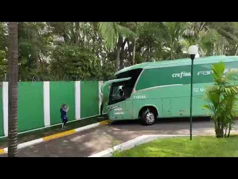 Palmeiras reestiliza ônibus oficial e marca estreia para jogo