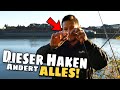 Mit Köderfisch & CIRCLE HOOK auf Zander am Mittellandkanal. Deadbait im Herbst.