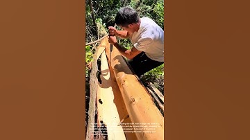 Peeling Tree Bark: Traditional Woodworking in the Forest