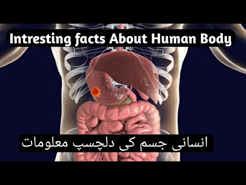 Intresting facs About Human Body||  انسانی جسم کے بارے میں دلچسپ معلومات||