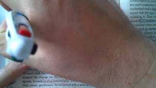 Lesson 2) Death In Venice Chapter first half Chapter 3