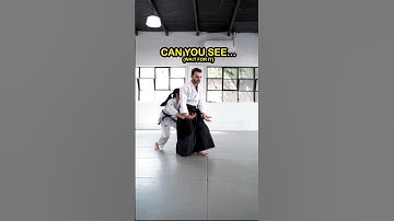 The slow motion is the key to details! #aikido #melbourneaikido #martialarts #shihonnage