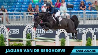 Match Highlights Jaguar van de Berghoeve (Emerald van ´t Ruyterhof x Nabab de Reve)
