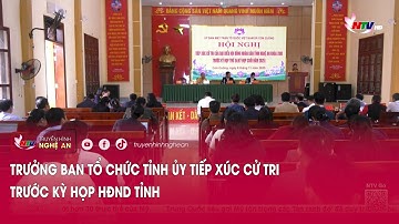 Trưởng Ban tổ chức tỉnh ủy tiếp xúc cử tri trước kỳ họp HĐND tỉnh