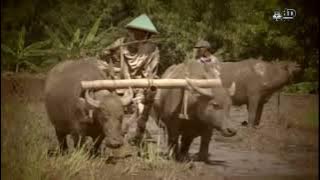 Ketawang Sekar Teja ~ Slendra Manyura