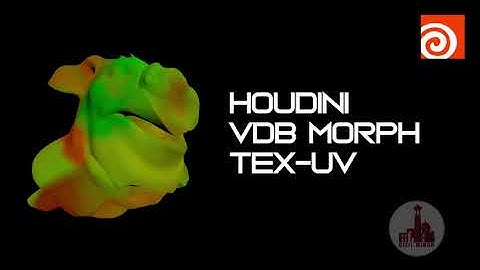 HOUDINI: VDB MORPH TEXUV | 3D, VFX, Animation , Dynamics and Simlation  Lessons