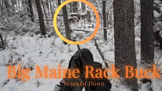 Big Maine Buck Tracked down! #whitetails #hunting #deer #maine #whitetailhunting 