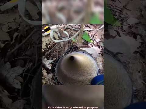 Dropping Go Pro