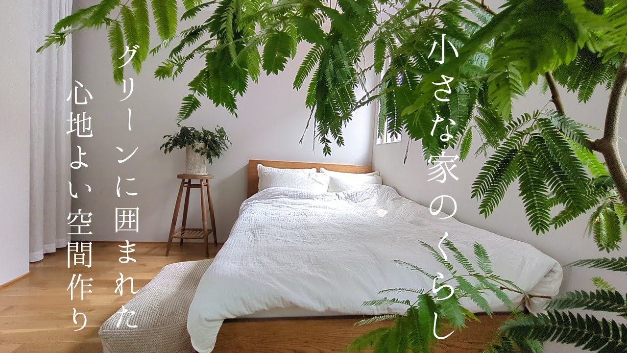 小さな家のくらし｜green life グリーンの身近な暮らし🪴/フクのいたずら対策🐕️/簡単カステラ