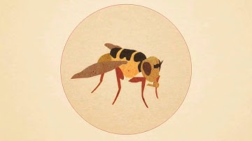 Using Nuclear Science to Control Pests