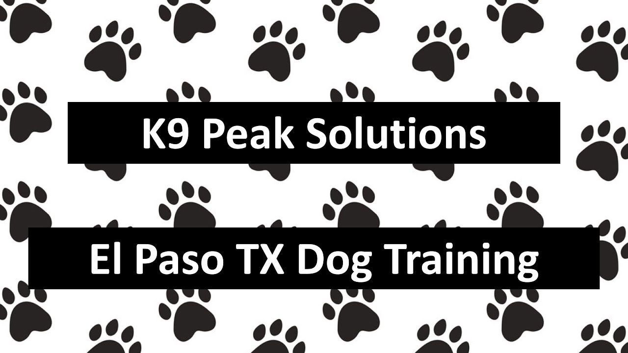 K9 PEAK SOLUTIONS El Paso Texas Dog Trainer YouTube