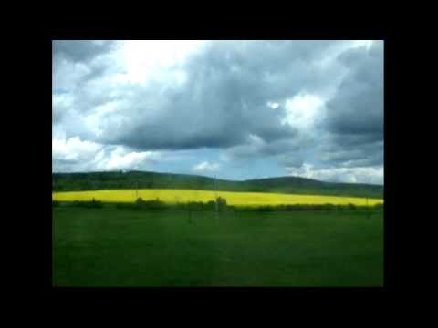 Б.Лхагвасүрэн-боржгины бор тал B.Lhagvasuren-borjignii bor tal