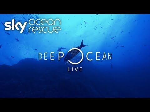 deep-ocean-live:-what-you-missed