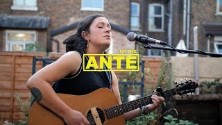 Christie - Swallows | Up The ANTE | Live Music Performance