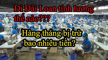 Bài 10 : Tiền lương và các khoản khấu trừ | Học tiếng Trung đi lao động Đài Loan