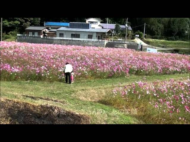 里の秋 - YouTube