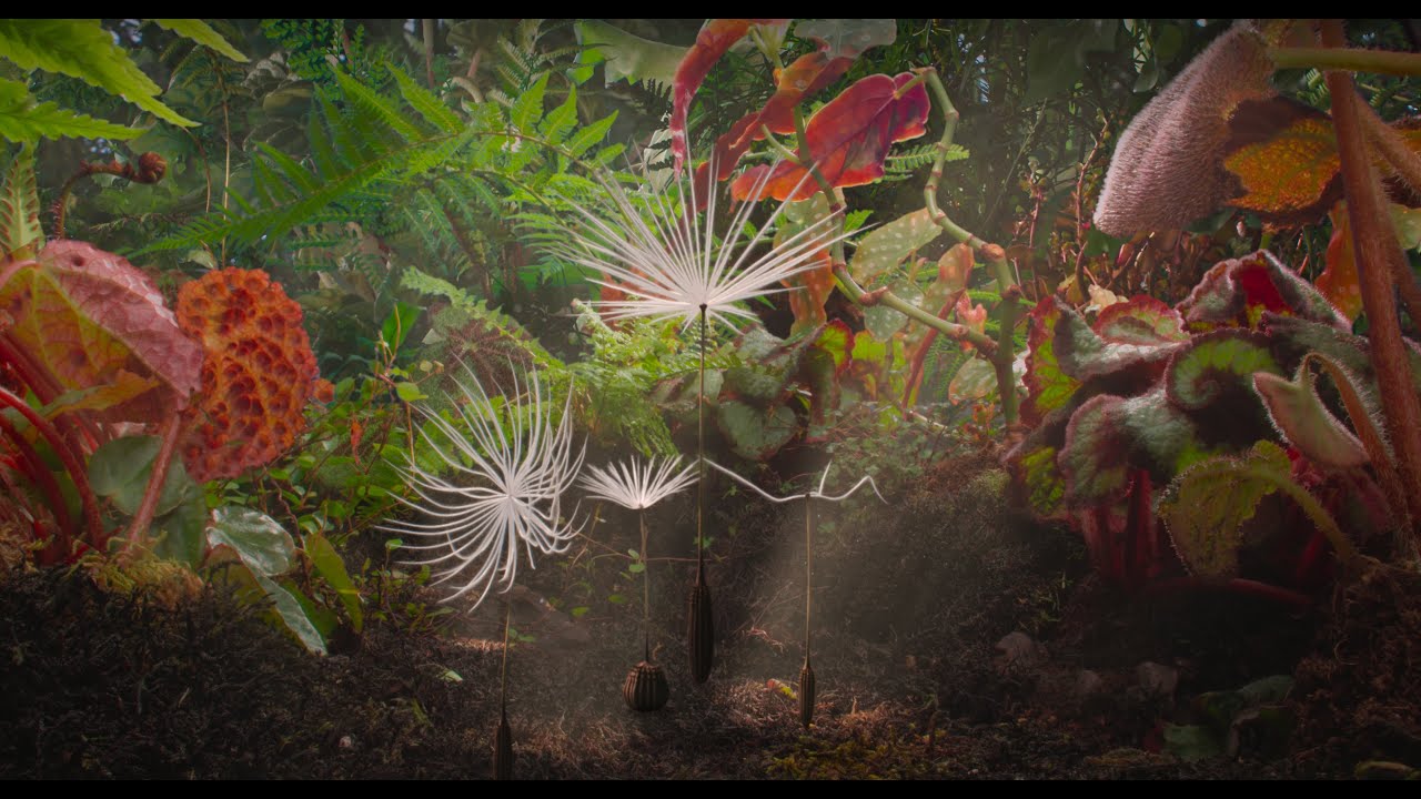 Dandelion's Odyssey (Planètes) by Momoko Seto: Film Review