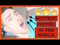 THE HOT PEPPER CHALLENGE | CAROLINA REAPER