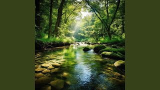Serene Streamโs Relaxing Echo