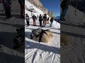 Jai dfi un jeune rider hasard au snowpark de leysin  un combat de sumo jai perdu 