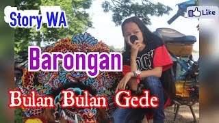 Barongan Bulan-Bulan Gede Story WA Terbaru 2019