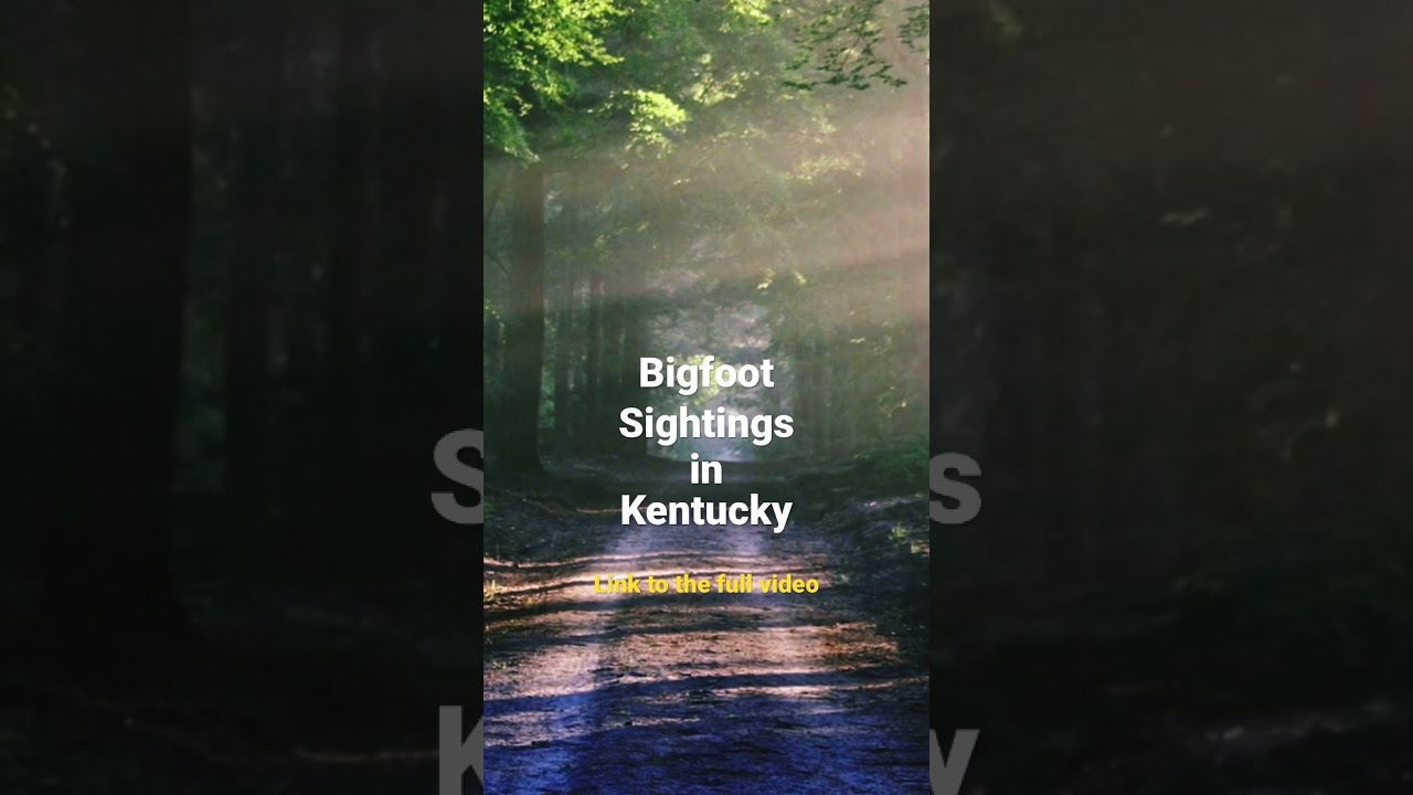 Bigfoot in Kentucky? 